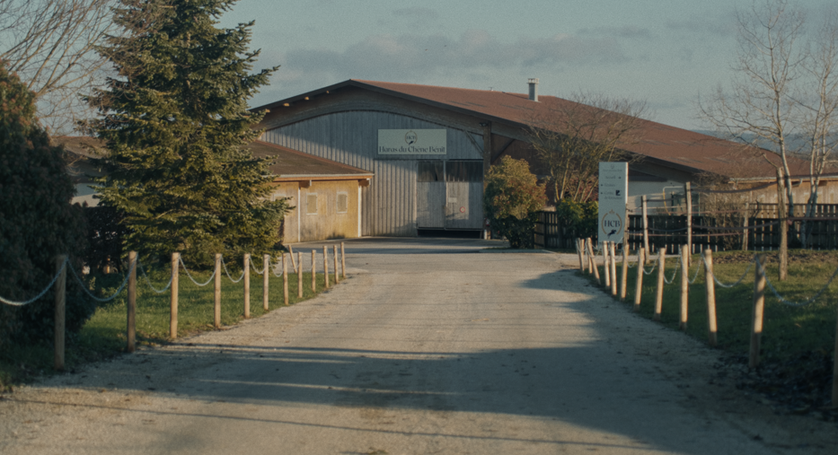 haras-du-chêne-bénit_photo